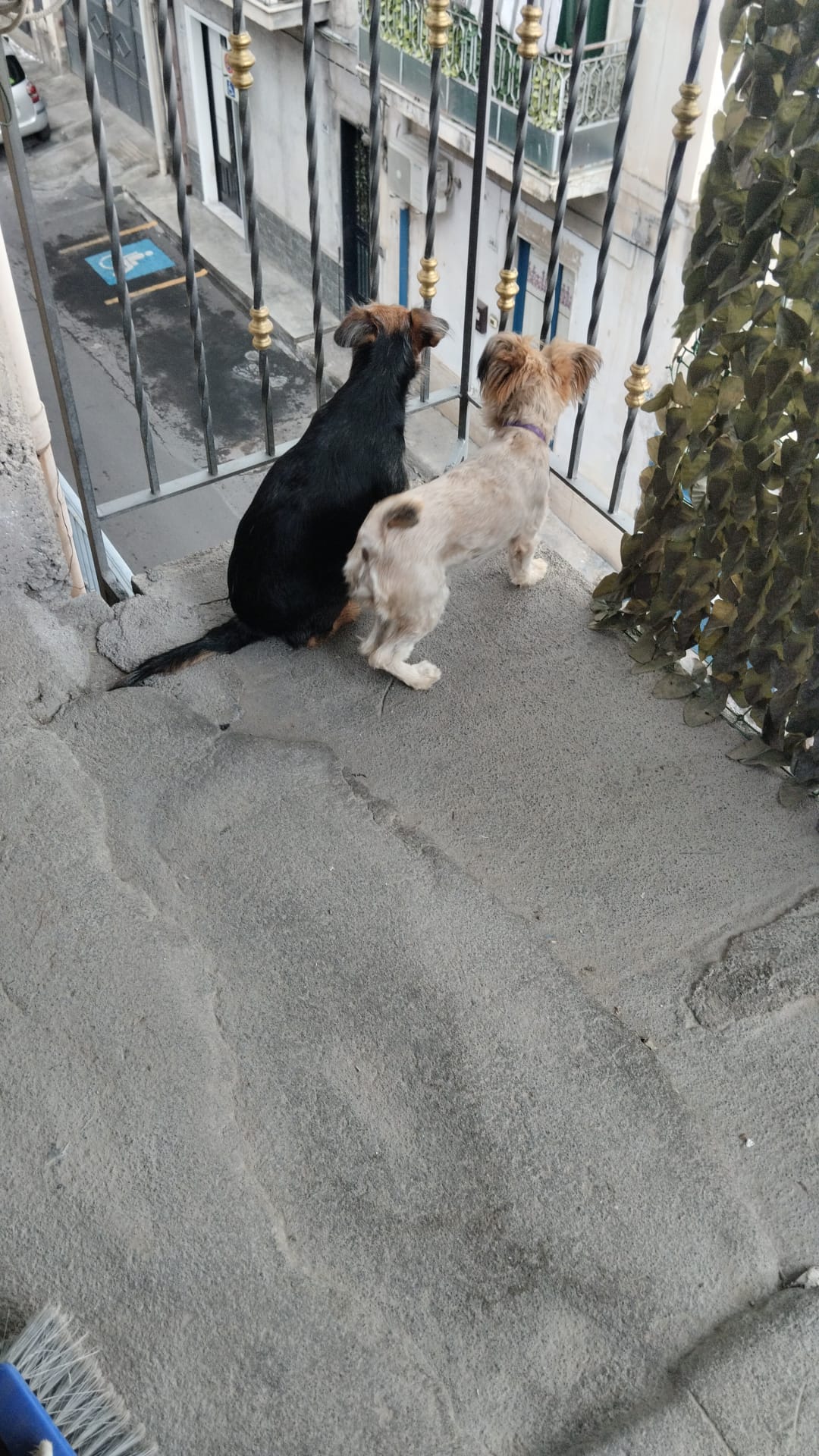Briciola e luna